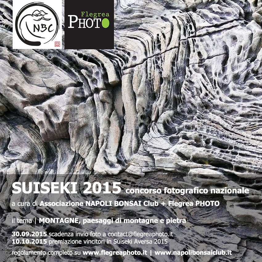 Suiseki 2015 | Concorso fotografico nazionale