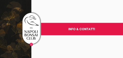 NBC - Info & Contatti